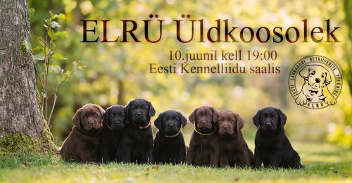 ELRÜ koduka ADD_koosolek