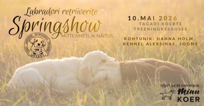 Yellow and Green Quinceañera Facebook Event Cover Photo - 2