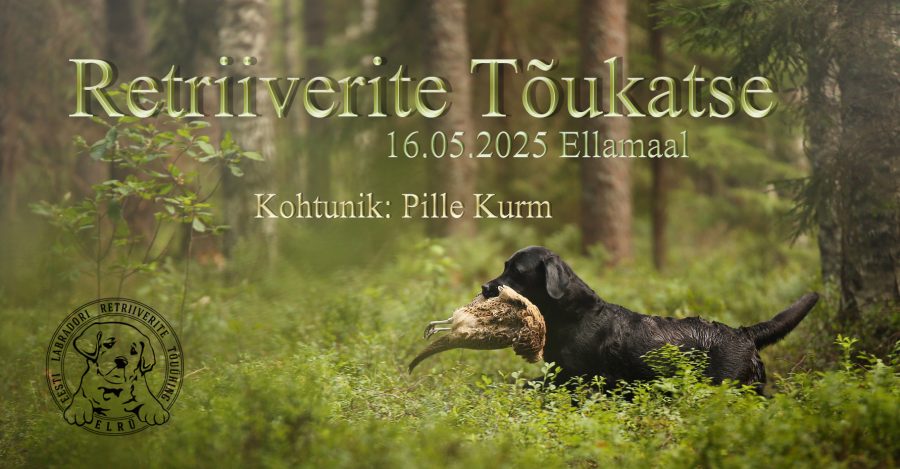retriiverite tõukatse_mai